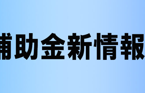 中小企業加速化補助金について